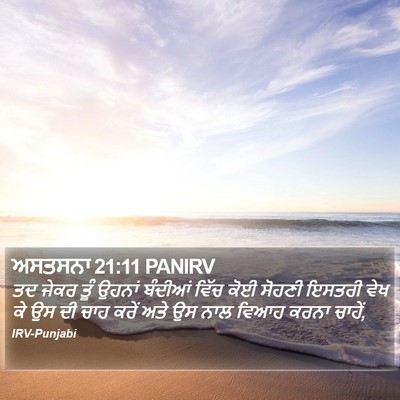 ਅਸਤਸਨਾ 21:11 PANIRV Bible Verse Image