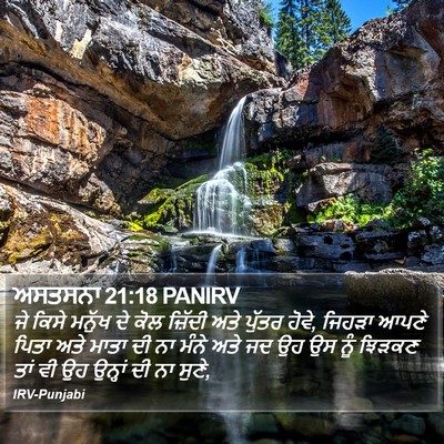 ਅਸਤਸਨਾ 21:18 PANIRV Bible Verse Image