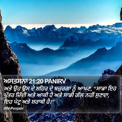 ਅਸਤਸਨਾ 21:20 PANIRV Bible Verse Image
