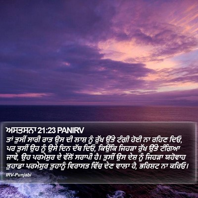 ਅਸਤਸਨਾ 21:23 PANIRV Bible Verse Image