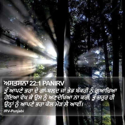 ਅਸਤਸਨਾ 22:1 PANIRV Bible Verse Image