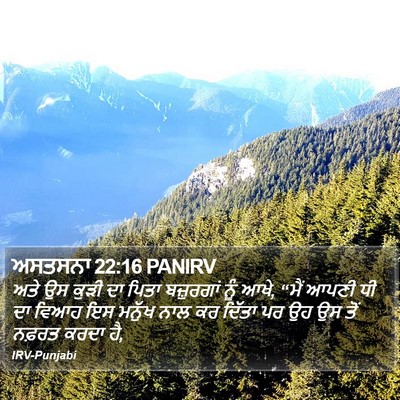 ਅਸਤਸਨਾ 22:16 PANIRV Bible Verse Image