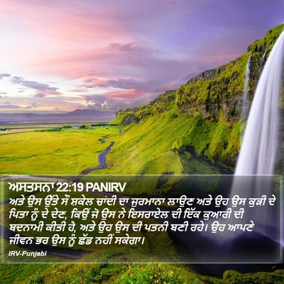 ਅਸਤਸਨਾ 22:19 PANIRV Bible Verse Image
