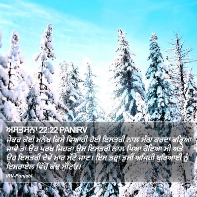 ਅਸਤਸਨਾ 22:22 PANIRV Bible Verse Image