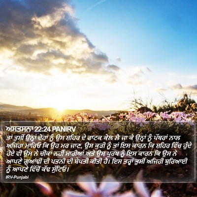 ਅਸਤਸਨਾ 22:24 PANIRV Bible Verse Image