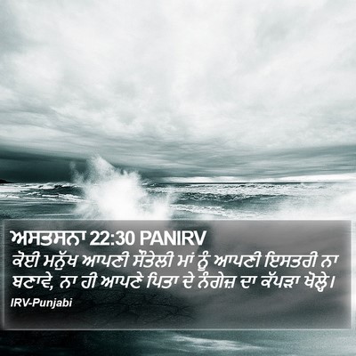 ਅਸਤਸਨਾ 22:30 PANIRV Bible Verse Image