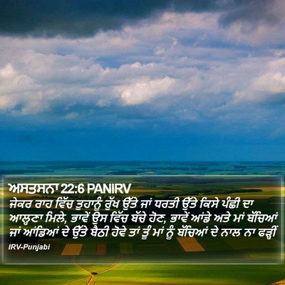 ਅਸਤਸਨਾ 22:6 PANIRV Bible Verse Image