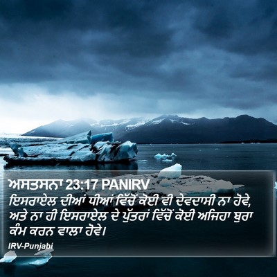 ਅਸਤਸਨਾ 23:17 PANIRV Bible Verse Image