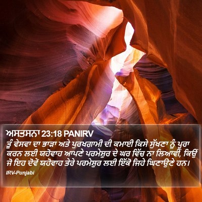 ਅਸਤਸਨਾ 23:18 PANIRV Bible Verse Image