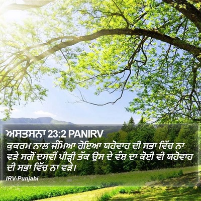 ਅਸਤਸਨਾ 23:2 PANIRV Bible Verse Image
