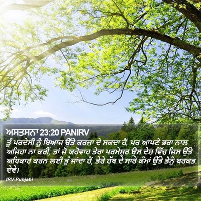 ਅਸਤਸਨਾ 23:20 PANIRV Bible Verse Image
