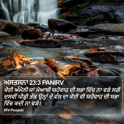 ਅਸਤਸਨਾ 23:3 PANIRV Bible Verse Image
