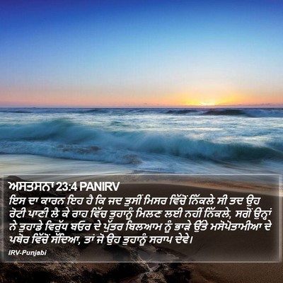 ਅਸਤਸਨਾ 23:4 PANIRV Bible Verse Image