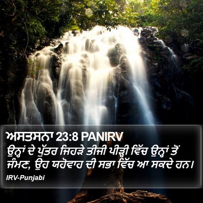 ਅਸਤਸਨਾ 23:8 PANIRV Bible Verse Image