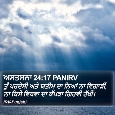 ਅਸਤਸਨਾ 24:17 PANIRV Bible Verse Image