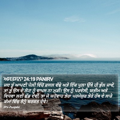 ਅਸਤਸਨਾ 24:19 PANIRV Bible Verse Image