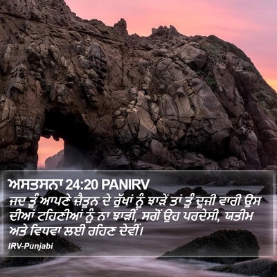 ਅਸਤਸਨਾ 24:20 PANIRV Bible Verse Image