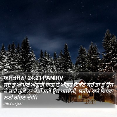 ਅਸਤਸਨਾ 24:21 PANIRV Bible Verse Image