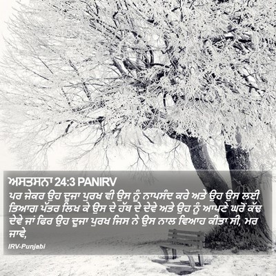 ਅਸਤਸਨਾ 24:3 PANIRV Bible Verse Image