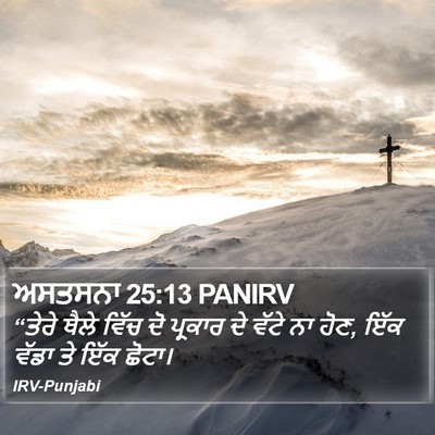 ਅਸਤਸਨਾ 25:13 PANIRV Bible Verse Image