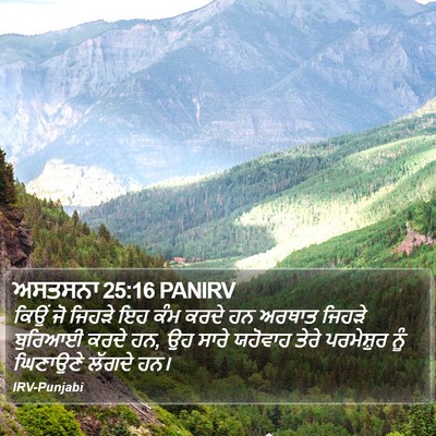 ਅਸਤਸਨਾ 25:16 PANIRV Bible Verse Image