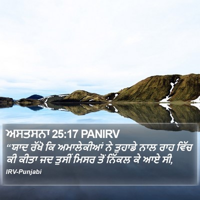 ਅਸਤਸਨਾ 25:17 PANIRV Bible Verse Image