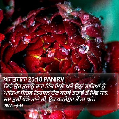 ਅਸਤਸਨਾ 25:18 PANIRV Bible Verse Image