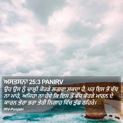 ਅਸਤਸਨਾ 25:3 PANIRV Bible Verse Image