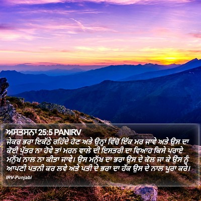 ਅਸਤਸਨਾ 25:5 PANIRV Bible Verse Image