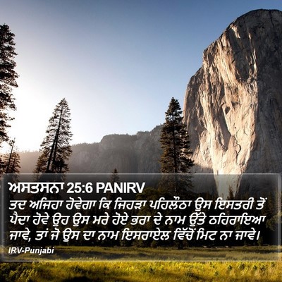 ਅਸਤਸਨਾ 25:6 PANIRV Bible Verse Image