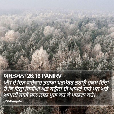 ਅਸਤਸਨਾ 26:16 PANIRV Bible Verse Image