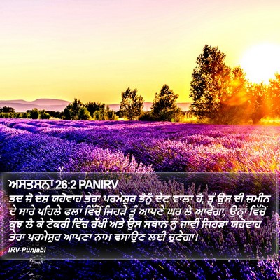ਅਸਤਸਨਾ 26:2 PANIRV Bible Verse Image