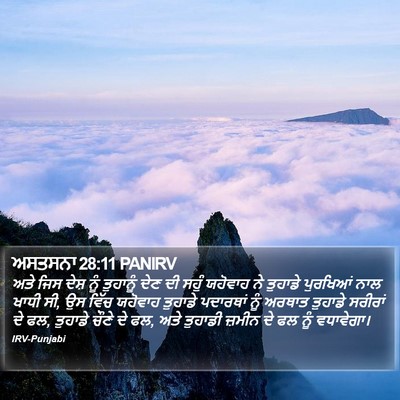 ਅਸਤਸਨਾ 28:11 PANIRV Bible Verse Image