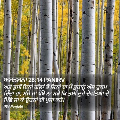 ਅਸਤਸਨਾ 28:14 PANIRV Bible Verse Image