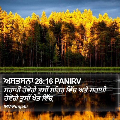 ਅਸਤਸਨਾ 28:16 PANIRV Bible Verse Image