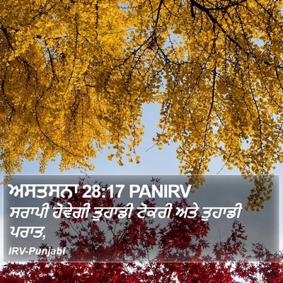 ਅਸਤਸਨਾ 28:17 PANIRV Bible Verse Image