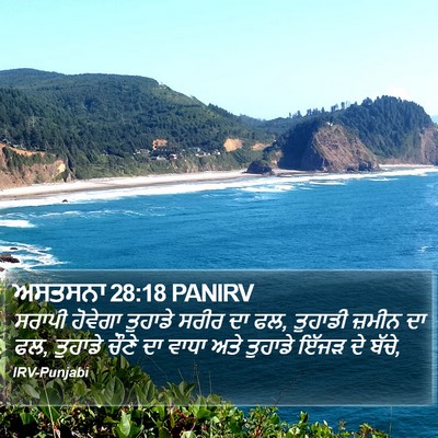 ਅਸਤਸਨਾ 28:18 PANIRV Bible Verse Image
