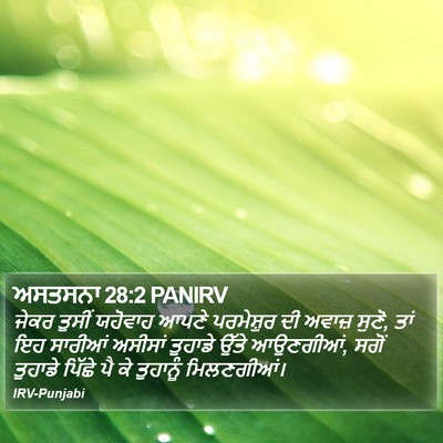 ਅਸਤਸਨਾ 28:2 PANIRV Bible Verse Image
