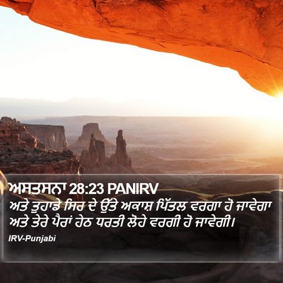 ਅਸਤਸਨਾ 28:23 PANIRV Bible Verse Image