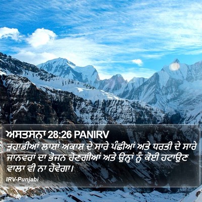 ਅਸਤਸਨਾ 28:26 PANIRV Bible Verse Image