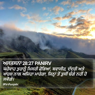 ਅਸਤਸਨਾ 28:27 PANIRV Bible Verse Image
