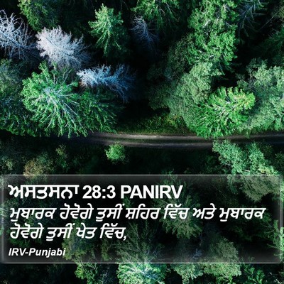 ਅਸਤਸਨਾ 28:3 PANIRV Bible Verse Image