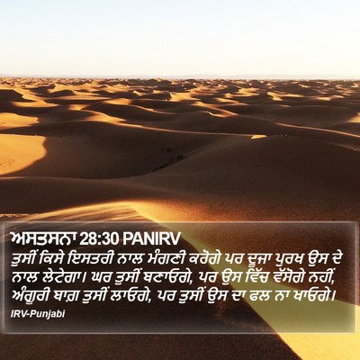ਅਸਤਸਨਾ 28:30 PANIRV Bible Verse Image