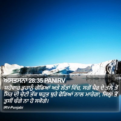 ਅਸਤਸਨਾ 28:35 PANIRV Bible Verse Image