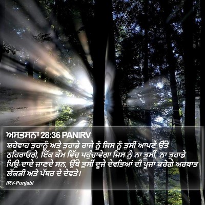 ਅਸਤਸਨਾ 28:36 PANIRV Bible Verse Image