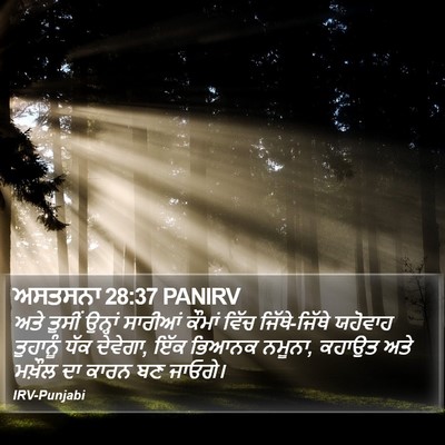 ਅਸਤਸਨਾ 28:37 PANIRV Bible Verse Image
