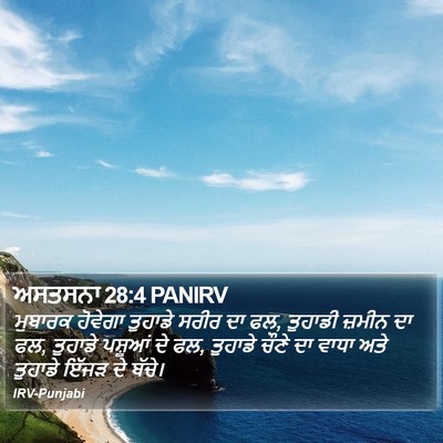 ਅਸਤਸਨਾ 28:4 PANIRV Bible Verse Image
