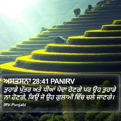 ਅਸਤਸਨਾ 28:41 PANIRV Bible Verse Image