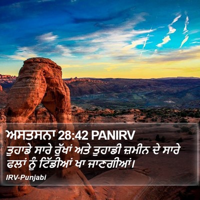 ਅਸਤਸਨਾ 28:42 PANIRV Bible Verse Image