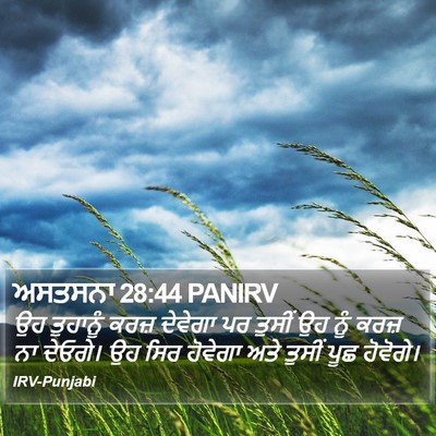 ਅਸਤਸਨਾ 28:44 PANIRV Bible Verse Image